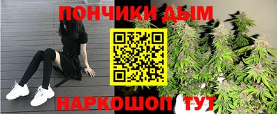 шишки Краснодар
