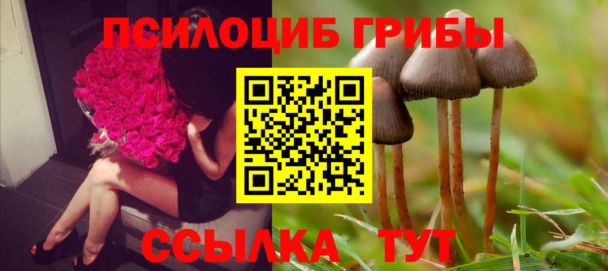 Казань  Галлюциногенные грибы мухоморы  Вход с VPN 